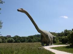 Der 45 Meter lange Seismosaurus